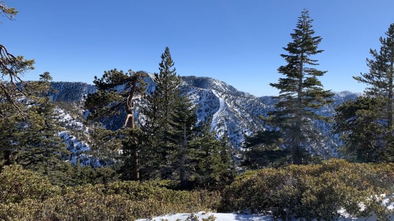 Mt Baldy Trailhead - Mt Baldy, CA