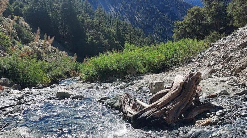 San Antonio Falls Trailhead - Mt Baldy, CA