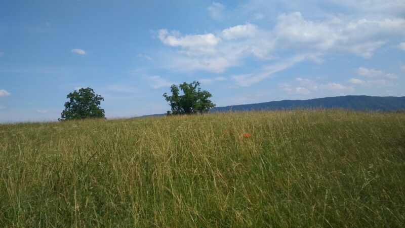 Mount Carmel City Park - Mt Carmel, TN