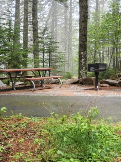 Pretty Marsh Picnic Area - Mt Desert, ME