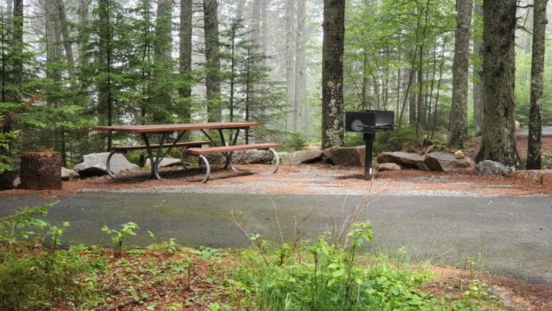 Pretty Marsh Picnic Area - Mt Desert, ME