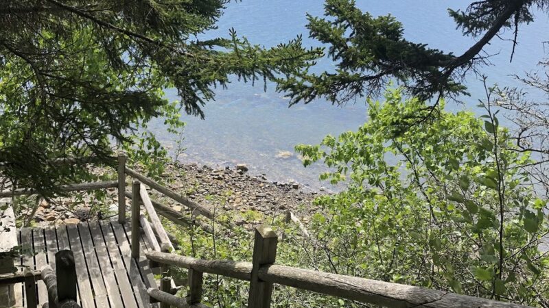 Pretty Marsh Picnic Area - Mt Desert, ME