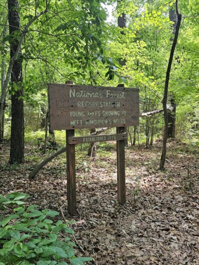 Dutchman's Creek Trailhead - Mt Gilead, NC