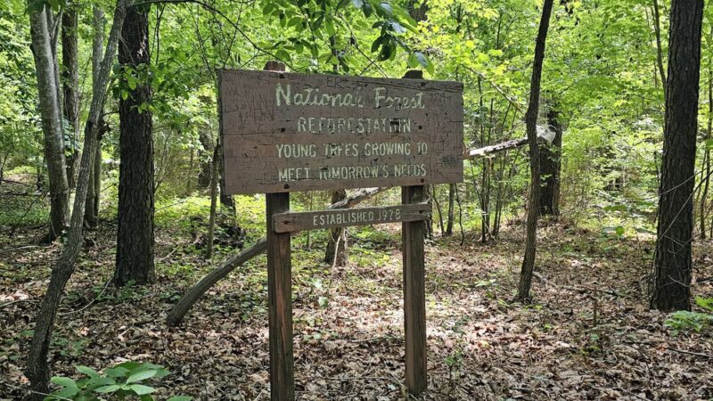 Dutchman's Creek Trailhead - Mt Gilead, NC