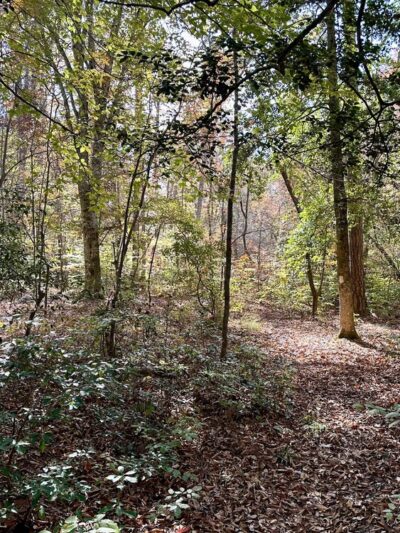 Dutchman's Creek Trailhead - Mt Gilead, NC