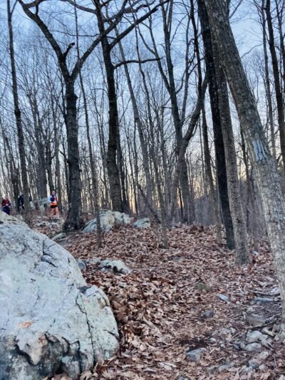 Dutchman's Creek Trailhead - Mt Gilead, NC