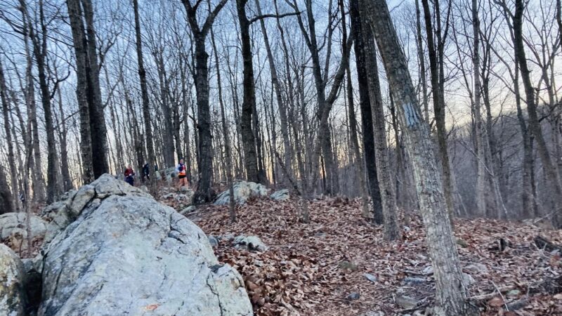 Dutchman's Creek Trailhead - Mt Gilead, NC