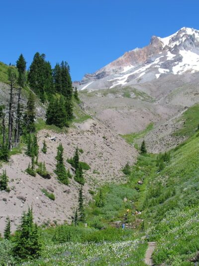 Paradise Park - Mt Hood, OR