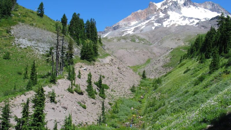 Paradise Park - Mt Hood, OR