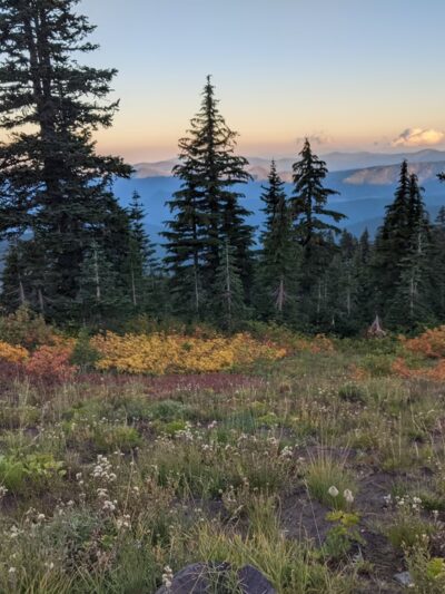 Paradise Park - Mt Hood, OR