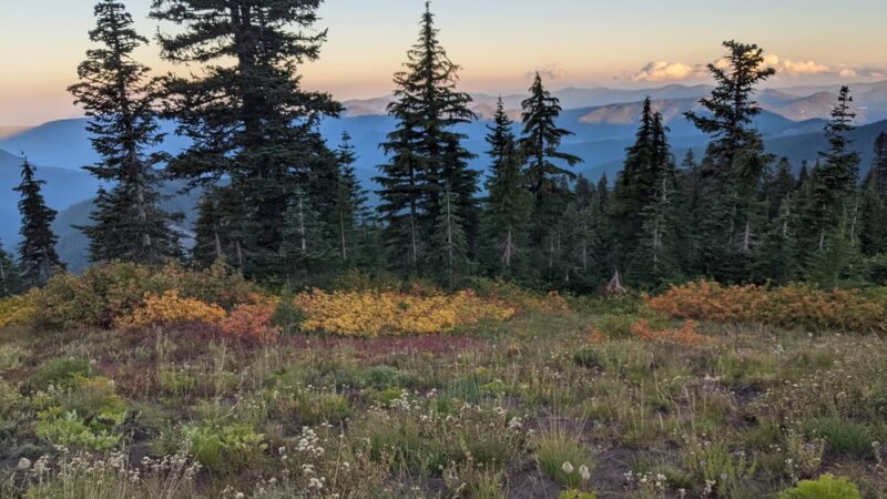 Paradise Park - Mt Hood, OR
