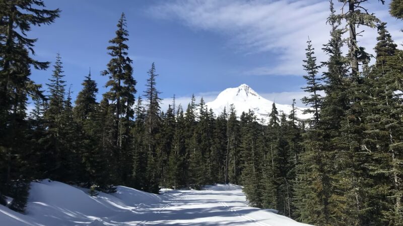 Teacup Nordic Snow Park - Mt Hood, OR