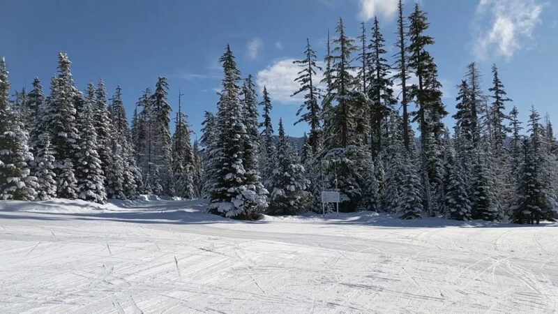 Teacup Nordic Snow Park - Mt Hood, OR