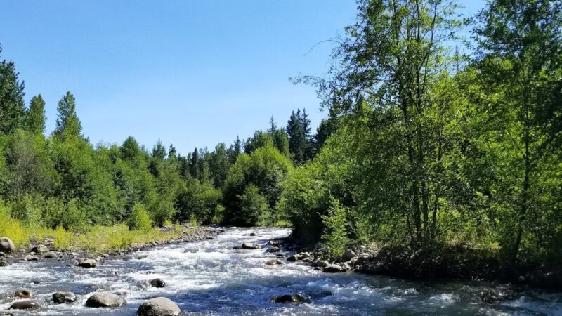 Toll Bridge Park (Parkdale, OR) - Mt Hood, OR