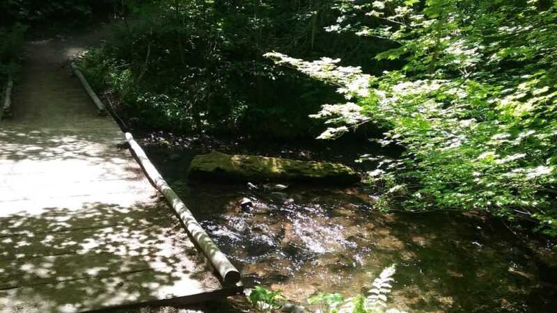 Dog River West Hiking Bridge - MT HOOD PRKDL, OR