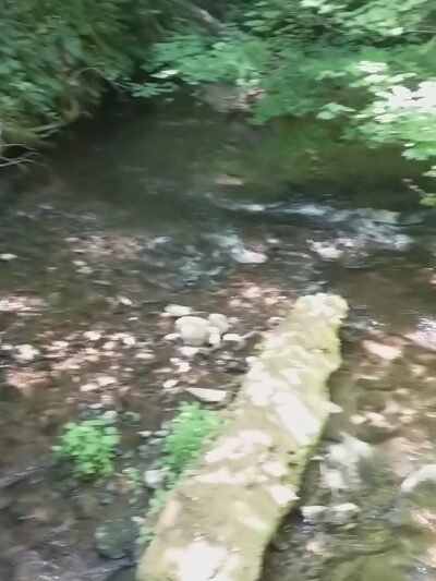 Dog River West Hiking Bridge - MT HOOD PRKDL, OR