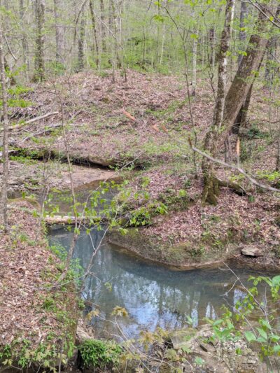 Thompson Trailhead - Mt Hope, AL
