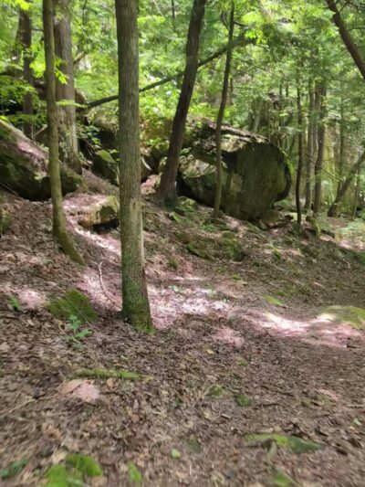 Thompson Trailhead - Mt Hope, AL