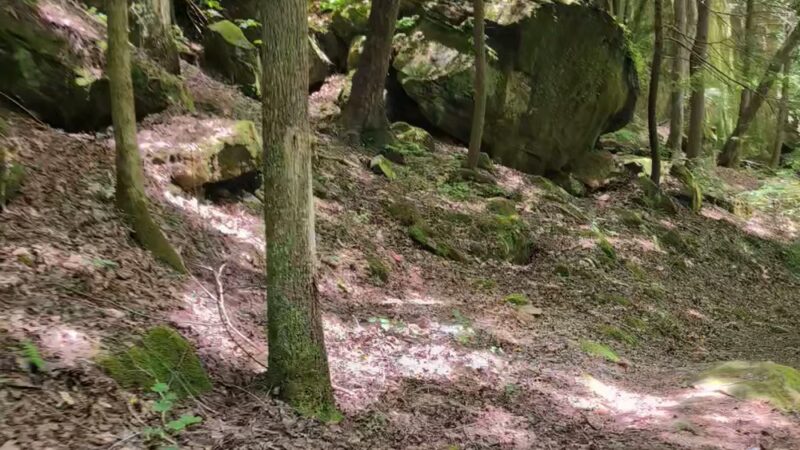 Thompson Trailhead - Mt Hope, AL