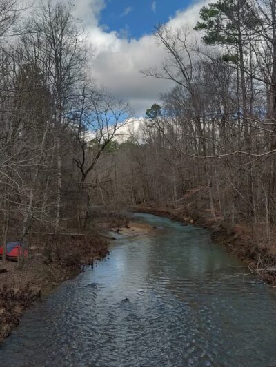 Thompson Trailhead - Mt Hope, AL