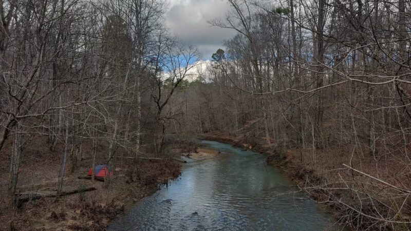 Thompson Trailhead - Mt Hope, AL