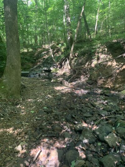 Thompson Trailhead - Mt Hope, AL