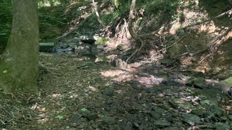 Thompson Trailhead - Mt Hope, AL