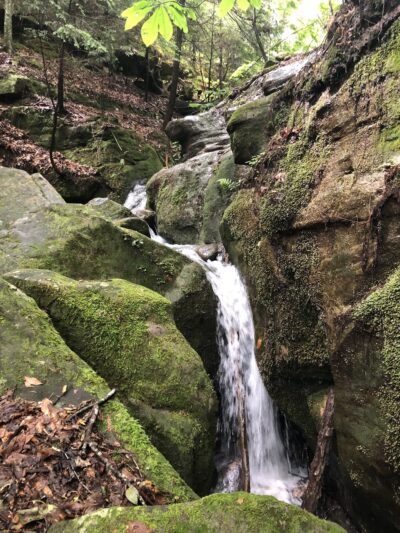 Thompson Trailhead - Mt Hope, AL