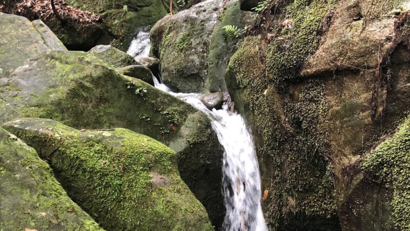 Thompson Trailhead - Mt Hope, AL