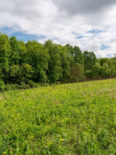 Donald County Park - Mt Horeb, WI