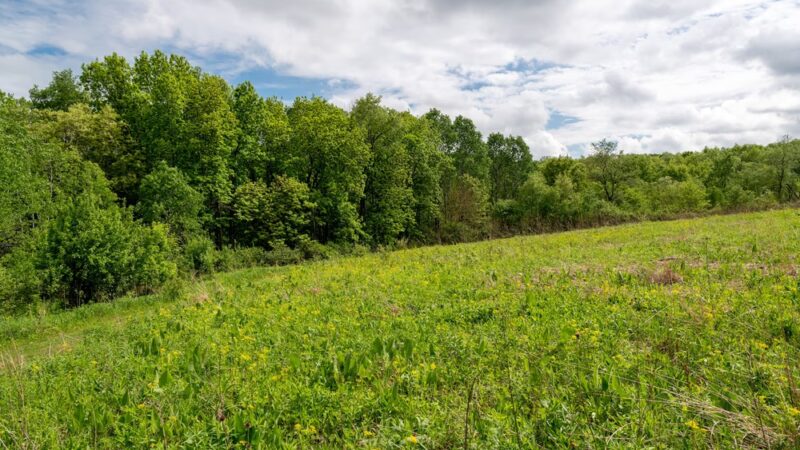Donald County Park - Mt Horeb, WI