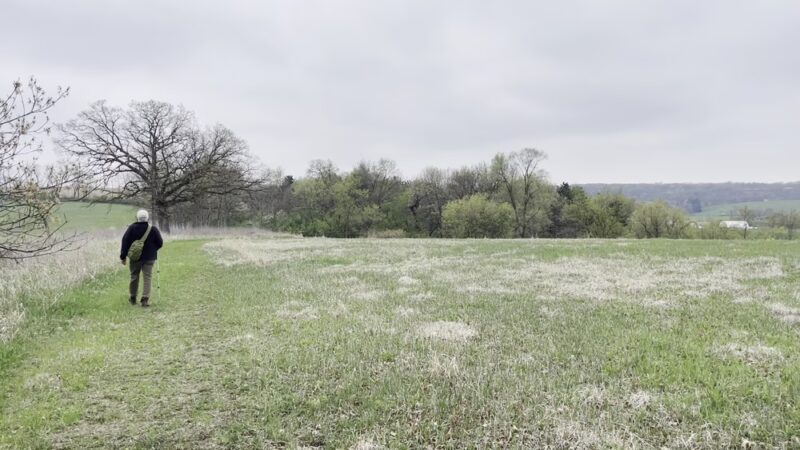 Donald County Park - Mt Horeb, WI