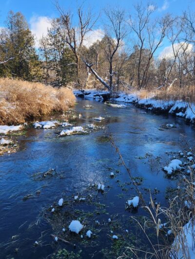 Donald County Park - Mt Horeb, WI