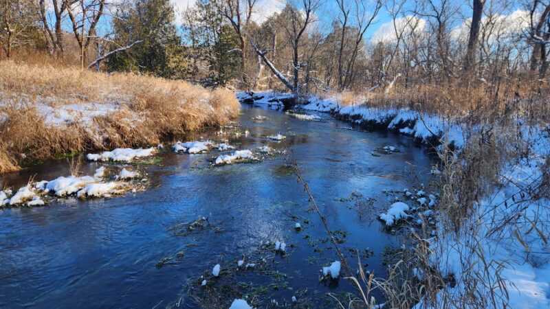 Donald County Park - Mt Horeb, WI