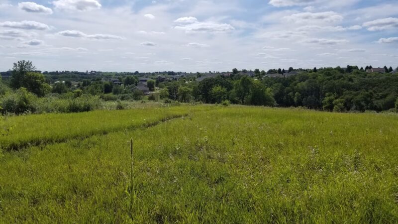 Duane R. Hofstetter Conservation Park - Mt Horeb, WI