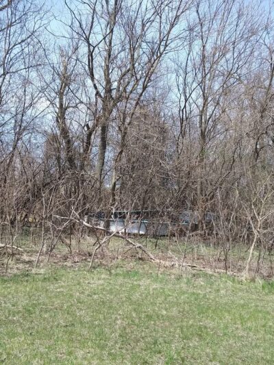 Liberty Park - Mt Horeb, WI