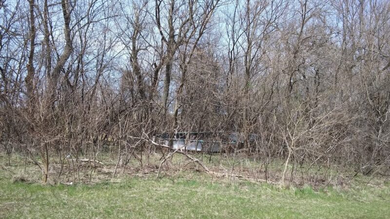 Liberty Park - Mt Horeb, WI