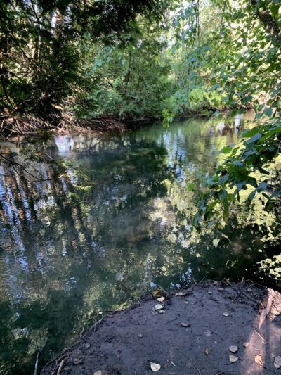 Pop's Knoll - Mt Horeb, WI