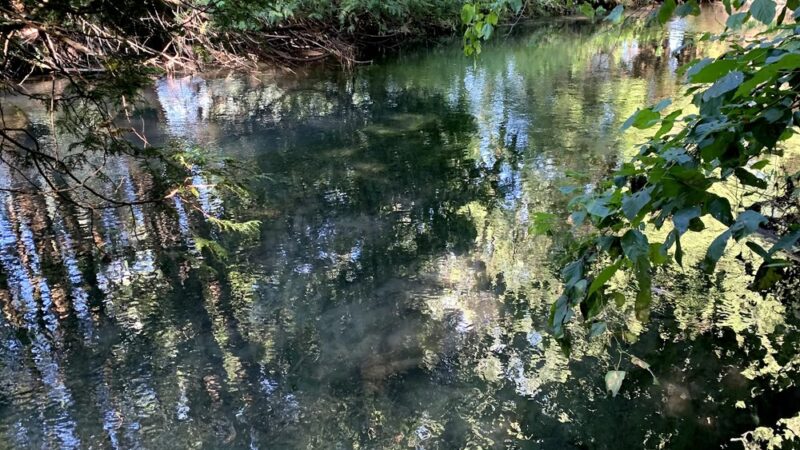 Pop's Knoll - Mt Horeb, WI