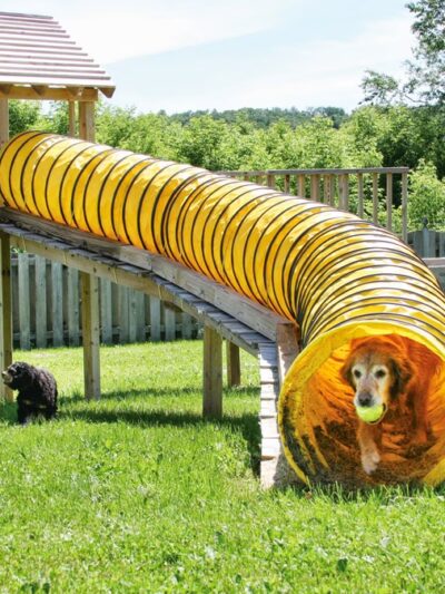 The Dogwoods - Mt Horeb, WI