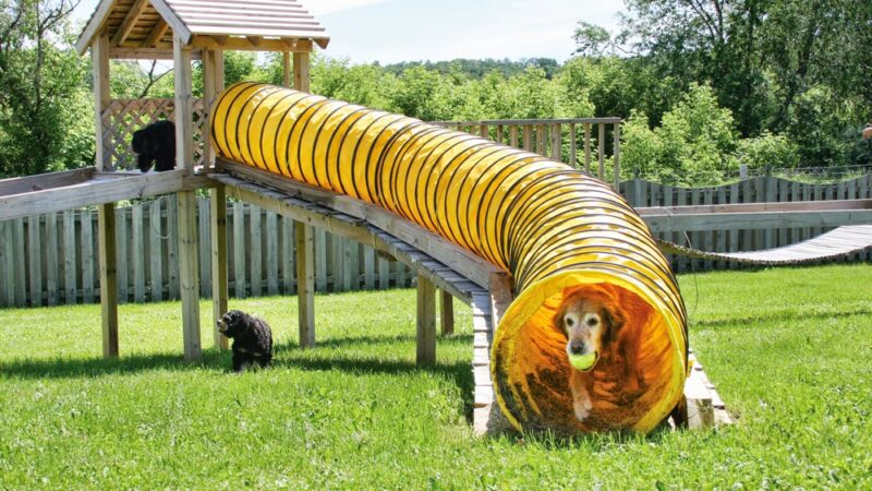 The Dogwoods - Mt Horeb, WI