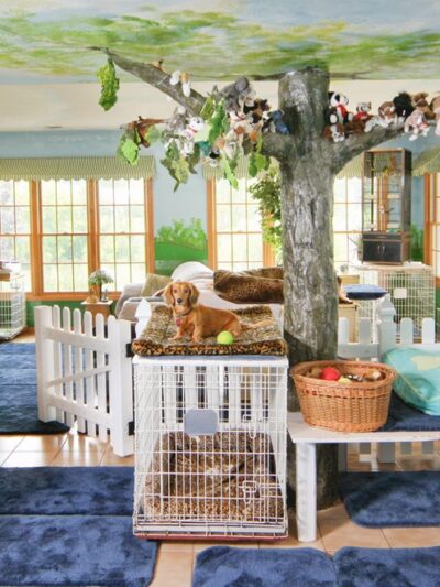 The Dogwoods - Mt Horeb, WI