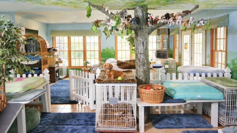 The Dogwoods - Mt Horeb, WI