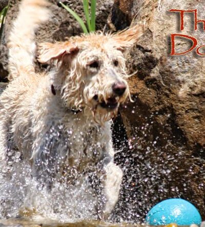 The Dogwoods - Mt Horeb, WI