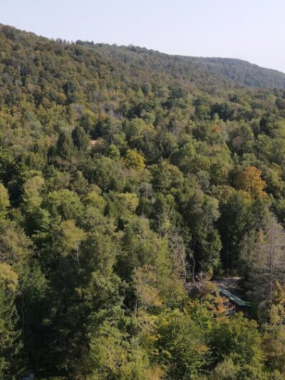 Kinzua Valley Trail, Westline Trailhead - Mt Jewett, PA