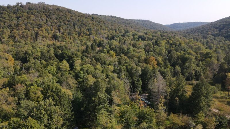 Kinzua Valley Trail, Westline Trailhead - Mt Jewett, PA