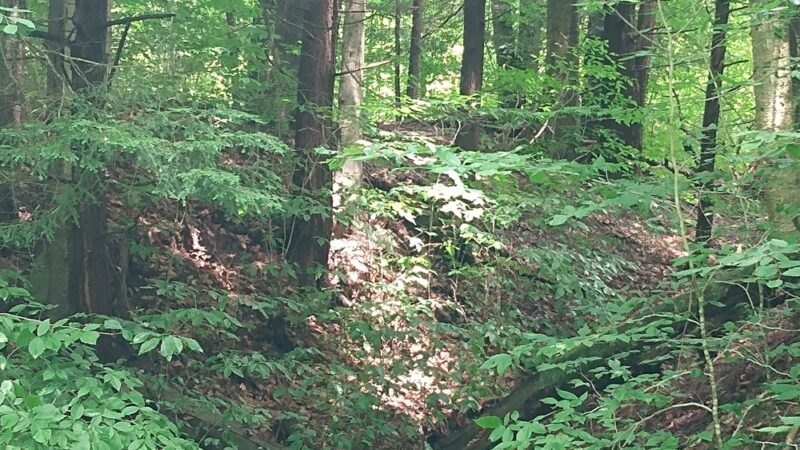Kinzua Valley Trail, Westline Trailhead - Mt Jewett, PA