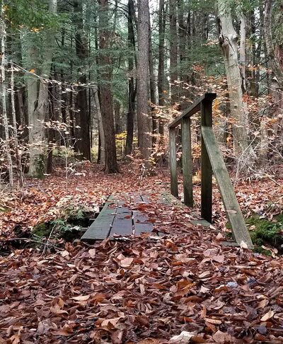 Kinzua Valley Trail, Westline Trailhead - Mt Jewett, PA