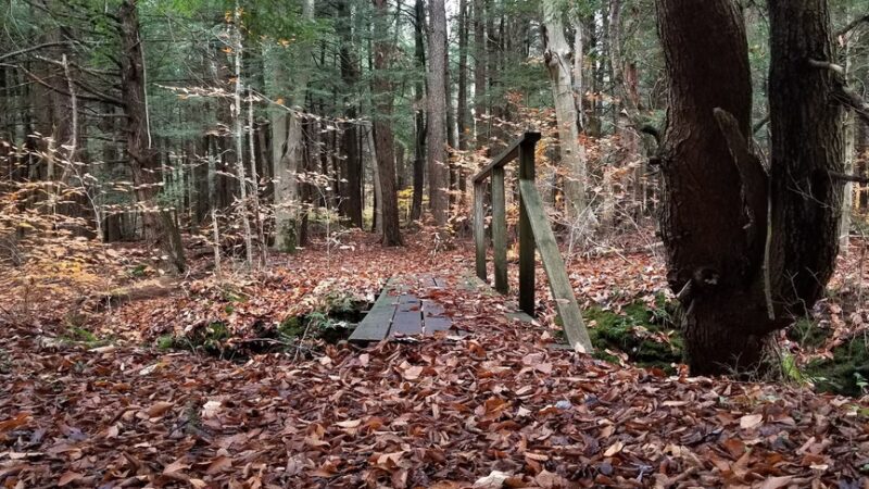 Kinzua Valley Trail, Westline Trailhead - Mt Jewett, PA