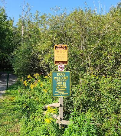 Kinzua Valley Trail, Westline Trailhead - Mt Jewett, PA